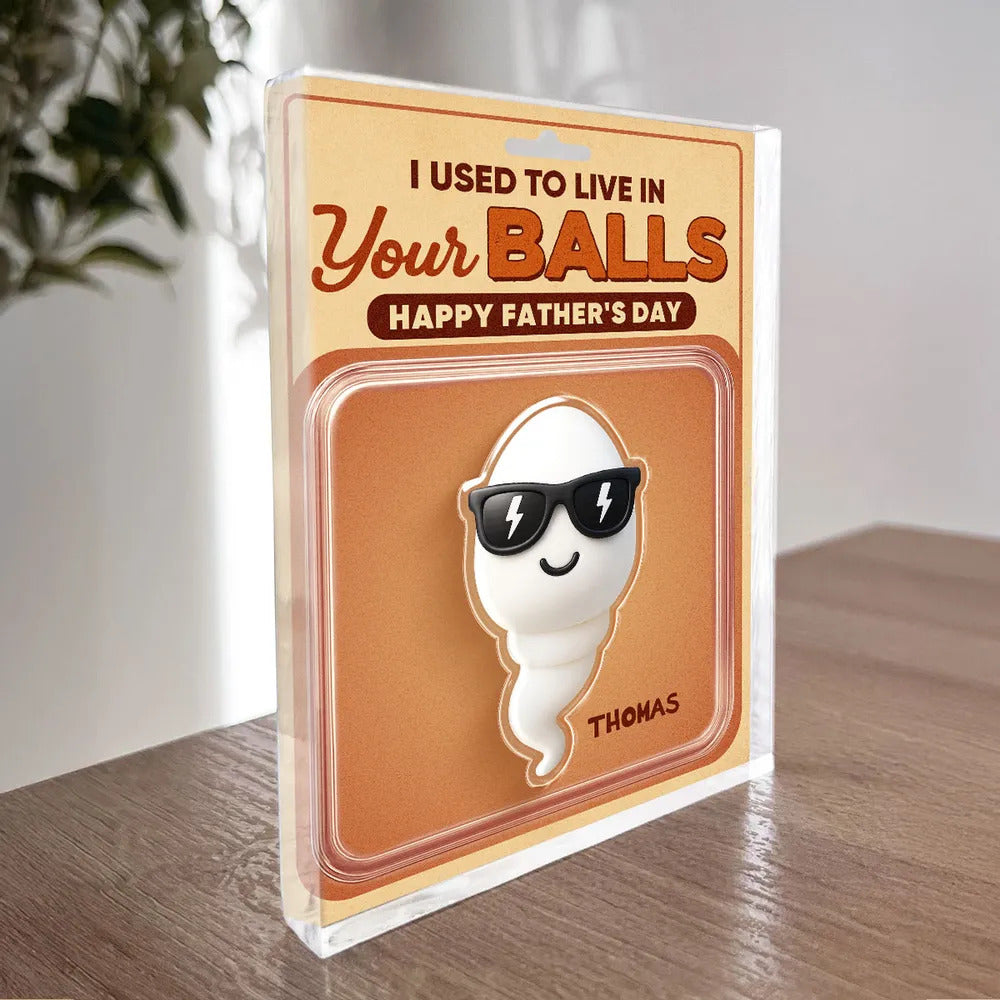 We Used To Live In Your Balls Toy Box Figures Style Personalized Acrylic Block Plaque, Funny Father's Day gift for Dads