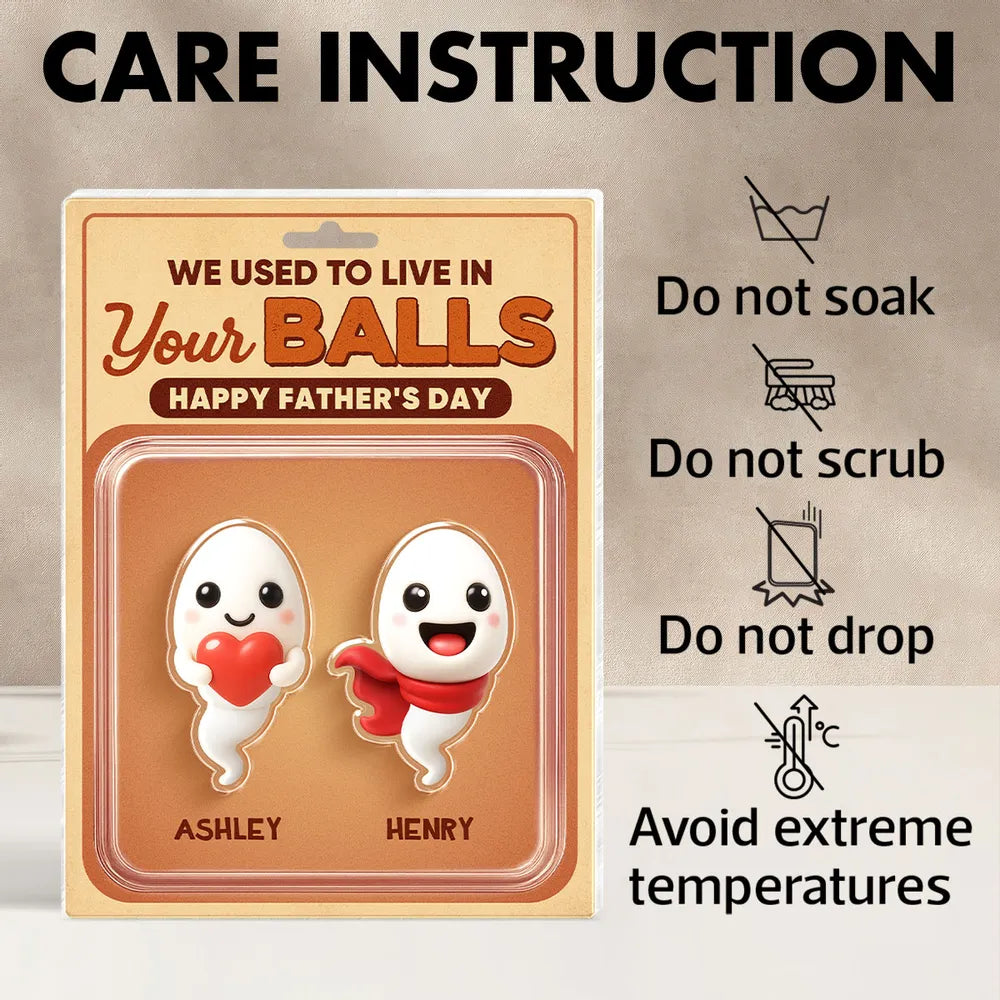 We Used To Live In Your Balls Toy Box Figures Style Personalized Acrylic Block Plaque, Funny Father's Day gift for Dads