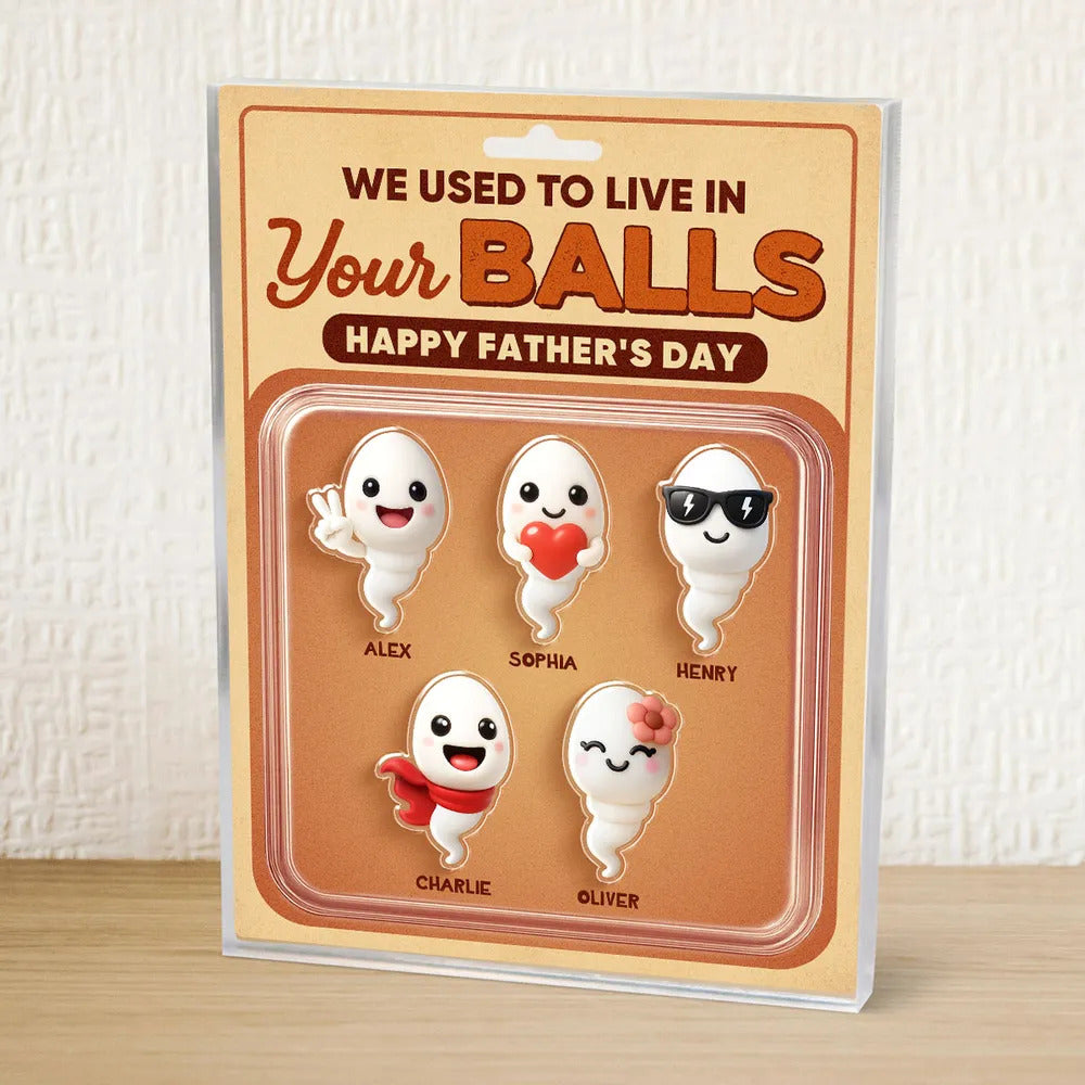 We Used To Live In Your Balls Toy Box Figures Style Personalized Acrylic Block Plaque, Funny Father's Day gift for Dads