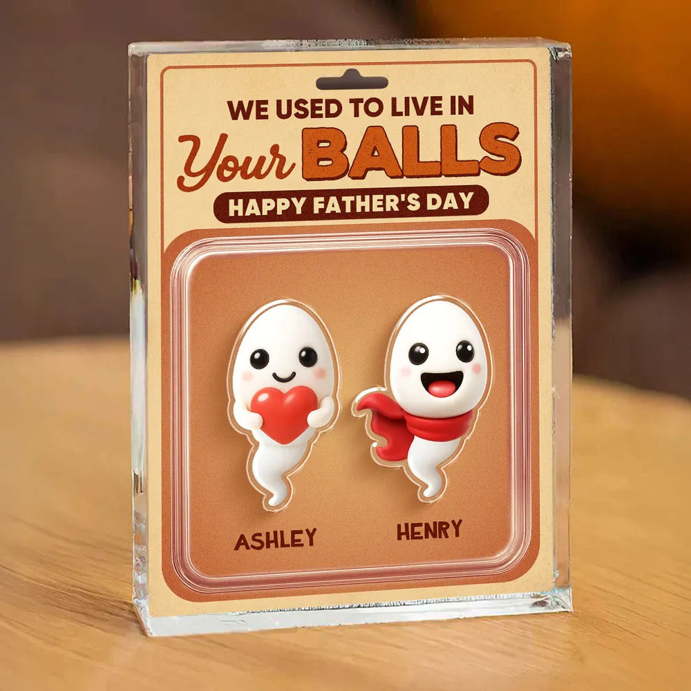 We Used To Live In Your Balls Toy Box Figures Style Personalized Acrylic Block Plaque, Funny Father's Day gift for Dads