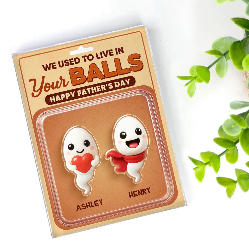 We Used To Live In Your Balls Toy Box Figures Style Personalized Acrylic Block Plaque, Funny Father's Day gift for Dads