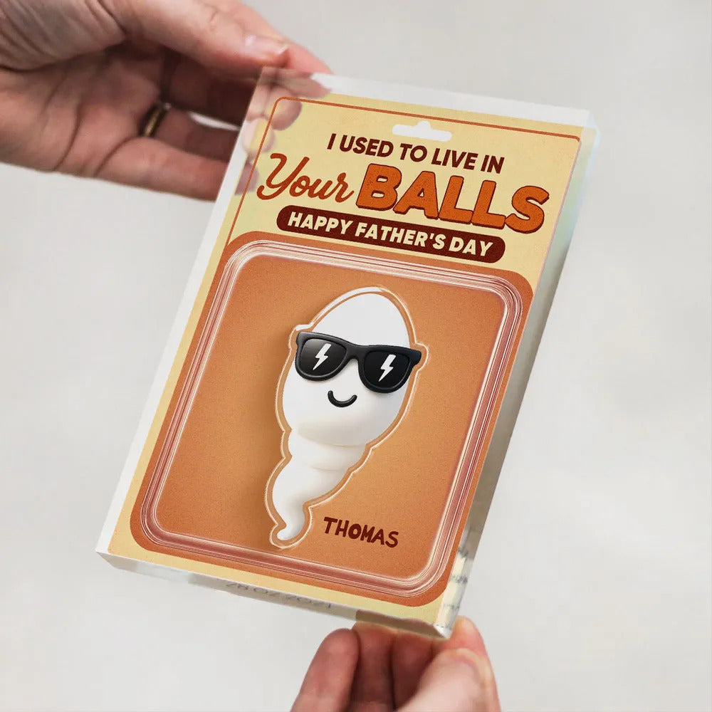 We Used To Live In Your Balls Toy Box Figures Style Personalized Acrylic Block Plaque, Funny Father's Day gift for Dads