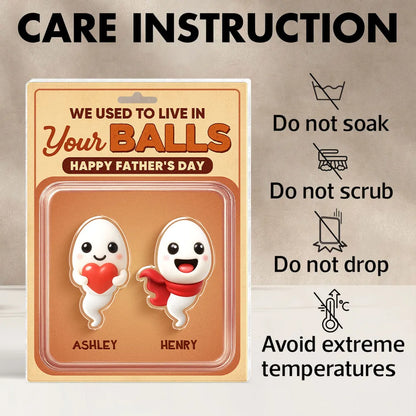 We Used To Live In Your Balls Toy Box Figures Style Personalized Acrylic Block Plaque, Funny Father's Day gift for Dads