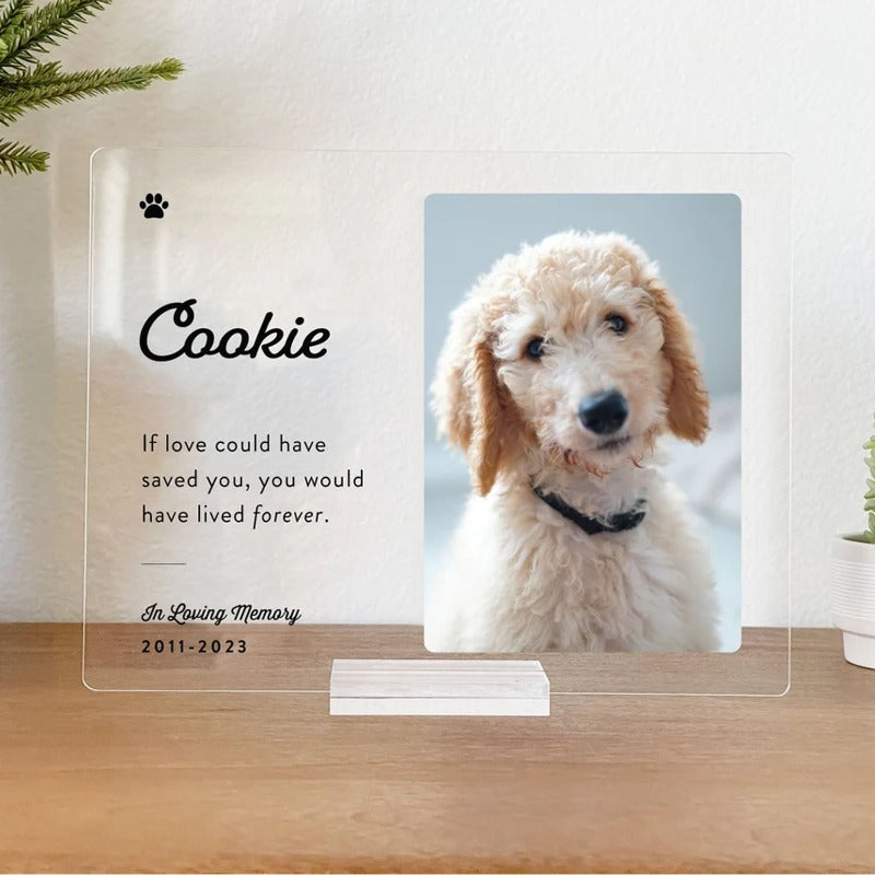 Personalized Pet Memorial Photo Frame Sign, Pet Memorial Keepsake