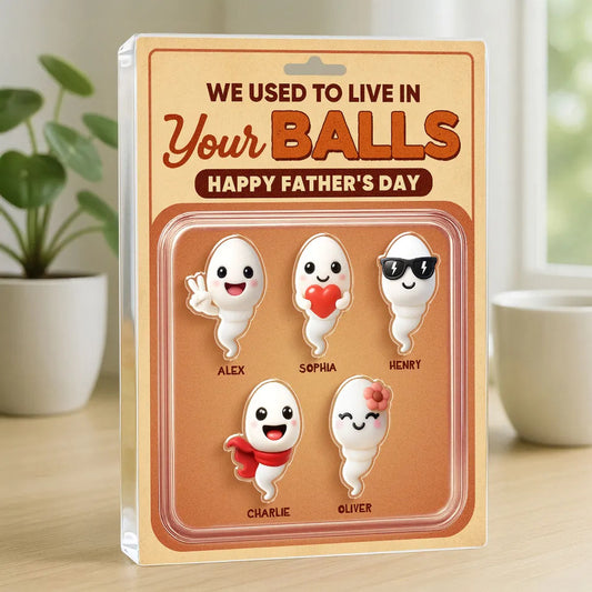 We Used To Live In Your Balls Toy Box Figures Style Personalized Acrylic Block Plaque, Funny Father's Day gift for Dads